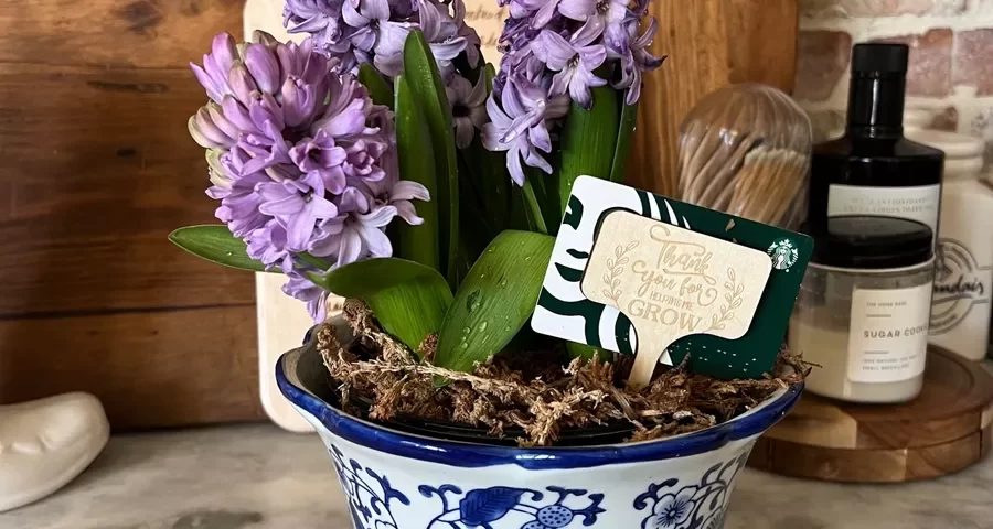 Thoughtful & Easy Teacher Appreciation Gift Ideas