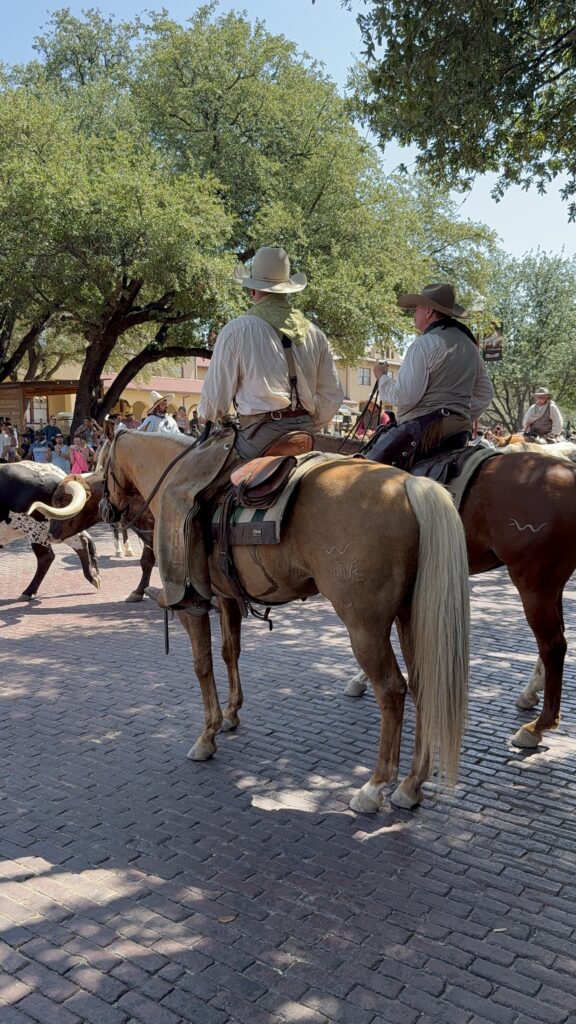 horses on cobble street texas